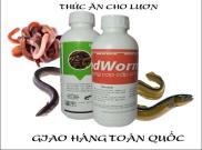 4 CHAI 1L DỊCH TRÙN QUẾ CHO LƯƠN,CÁ