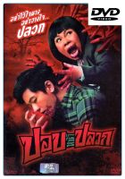 ปอบหน้าปลวก : ดีวีดี (DVD)