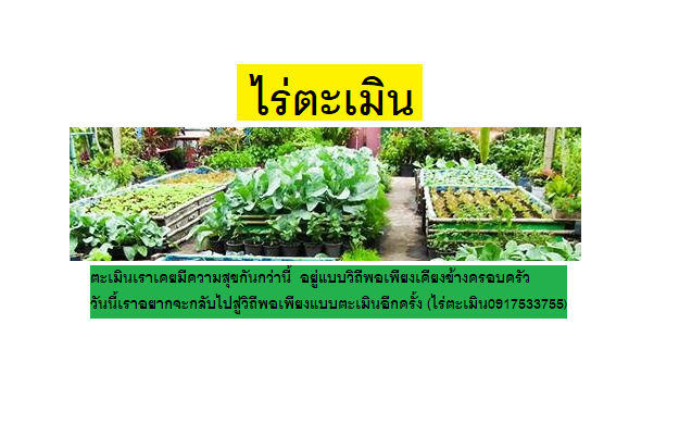 หัวเชื้อจุลินทรีย์น้ำหมักปลา-สารอาหารครบถ้วนที่สุด-บำรุงพืชในทุกด้าน-เป็นที่ยอมรับในต่างประเทศ