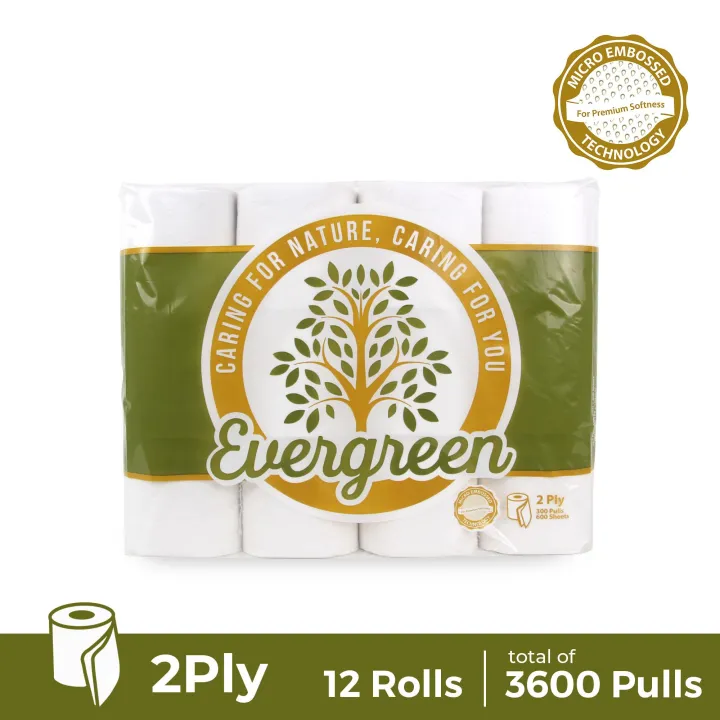 Evergreen Bathroom Tissue 2 Ply 12 Rolls X 1 Pack Lazada Ph