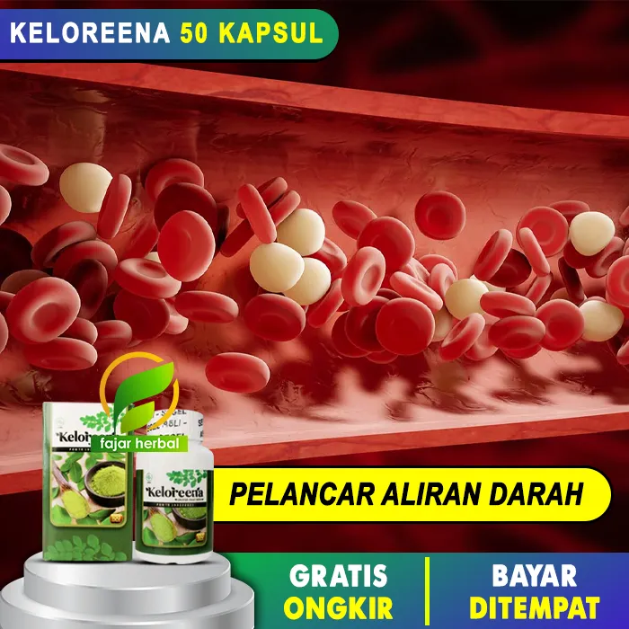 Obat PELANCAR ALIRAN DARAH - Kapsul Melancarkan Peredaran Darah ...