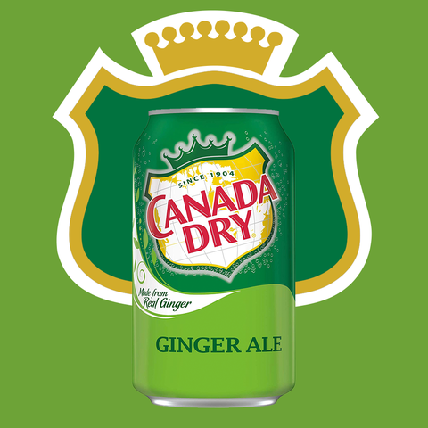 Canada dry ginger ale 355ml (3 cans) Soda gingembre | Lazada PH