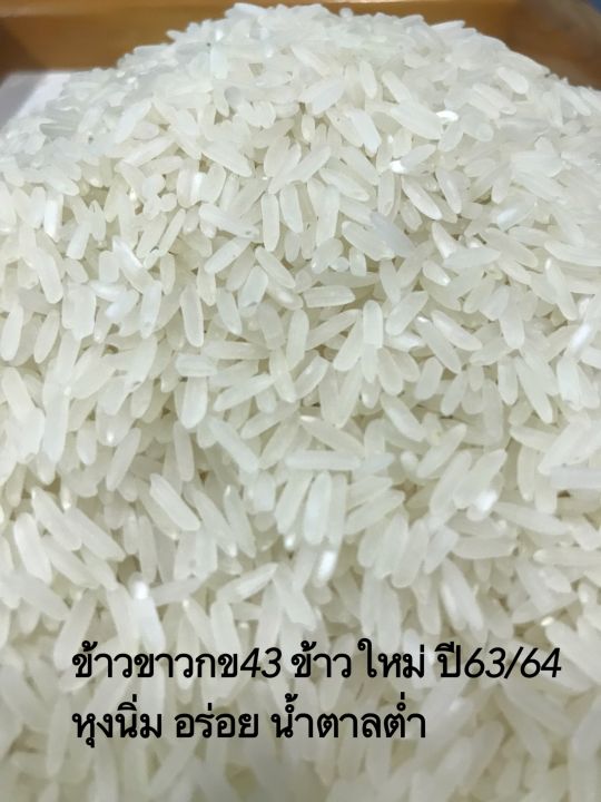 ข้าวกข43-บรรจุถุงpeสีฟ้า-1-กก-ข้าวใหม่-ข้าวน้ำตาลต่ำ-หุงฟูขึ้นหม้อ