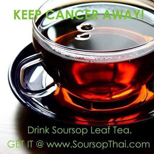 pure-air-dried-soursop-leaves-in-tea-bag-7-grams-x20-ใบทุเรียนเทศ-100-ในซองชา-7-กรัม-20-ซองชา