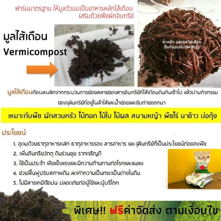 คุ้มที่สุด-มูลไส้เดือน-1kg-13ถุง-free-น้ำหมักมูลไส้เดือนเข้มข้น-1l-ของต้องมี-คนอยากปลูกผัก-ผักสลัด-ผักเมืองหนาว-ผักสวนครัว-ปลูกผักทางเอง