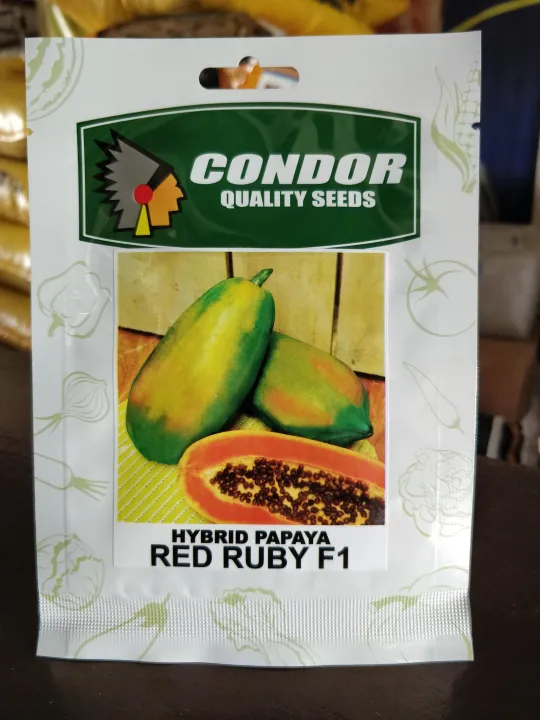 RED RUBY (PAPAYA) F1 SEEDS HYBRID Lazada PH