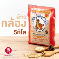 ข้าวกล้อง ไดโนเสาร์ ข้าวใหม่ 5กก. x 2ถุง  ปี65/66+++