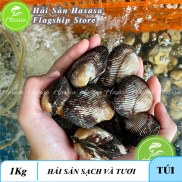 Sò lông nhung phan thiết sống - loại lớn - túi 1kg - giao hàng ngay tại hcm