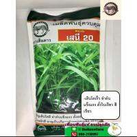 ผักบุ้งจีน เสนี 20 งอกดี ต้นสวยมาก(1KG)