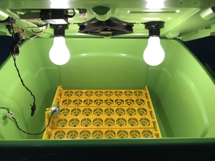 ตู้ฟักไข่กลับอัตโนมัติ-48-ฟอง-มีไทม์เมอร์ตั้งเวลากลับไข่ได้ราคาถูกที่สุด
