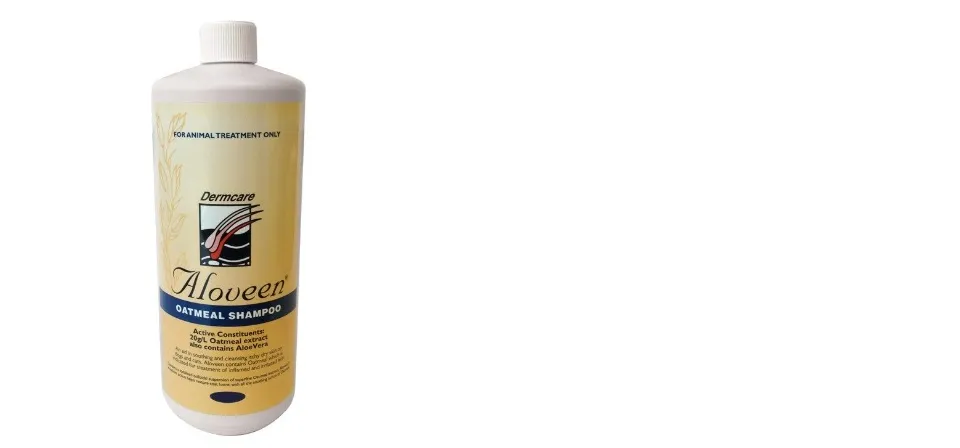 Dermcare shop oatmeal shampoo