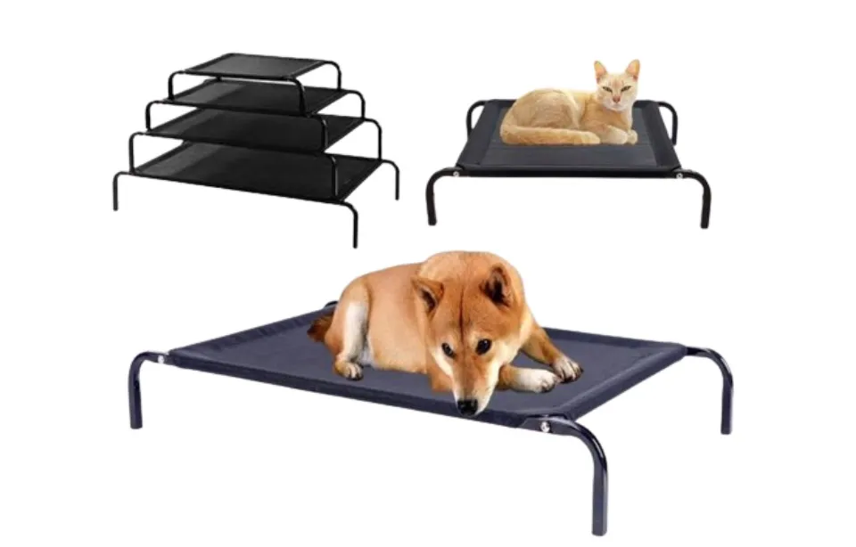 Elevated mesh outlet dog bed