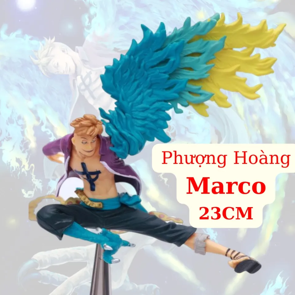 How to draw Marco the Phoenix  Onepiece  Vẽ Phượng hoàng lửa Marco   YouTube