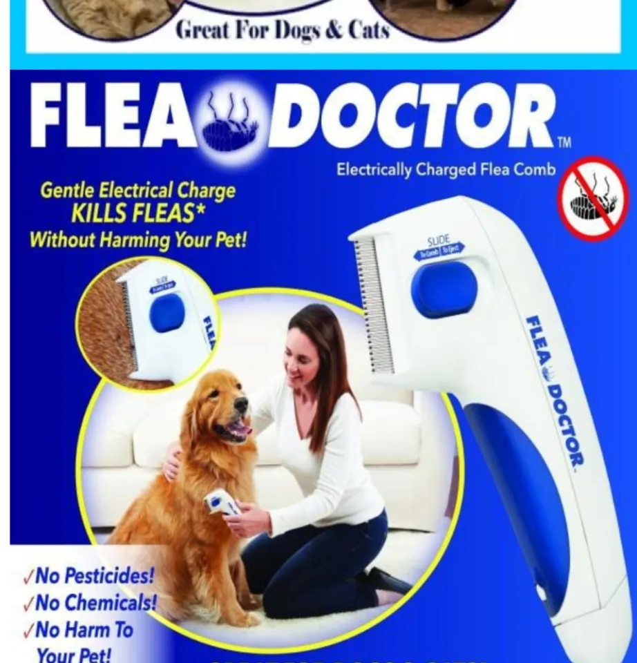 The flea 2024 doctor comb