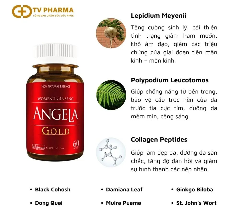 Viên uống sâm Angela Gold cải thiện sức khỏe, sắc đẹp, sinh lý nữ ...