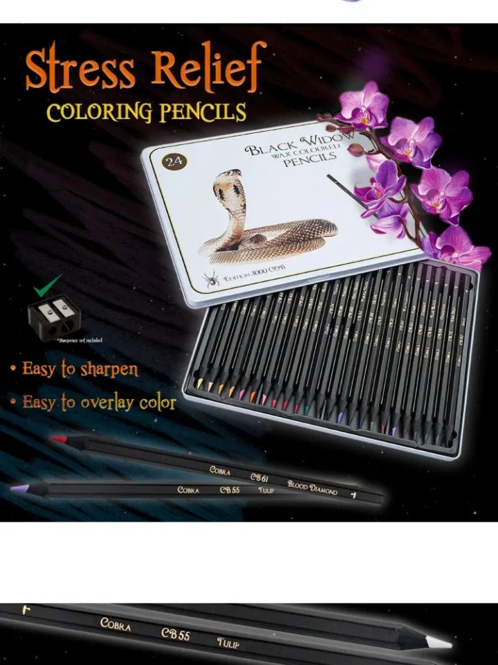 Black Widow Skin Tone Colored Pencils for Adult Coloring - 12 Color Pencils  for Portraits and Skintone Artists - A Complete Color Range - Now With