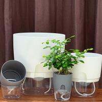 กระถาง​แบบใส กระถางต้นไม้2ชั้น ​เก็บ​น้ำ​ได้​ รด​น้ำ​อัตโนมัติ​ Automatic watering flower pots