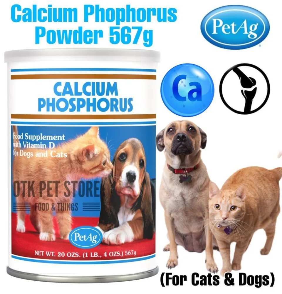 what-foods-are-high-in-phosphorus-for-dogs