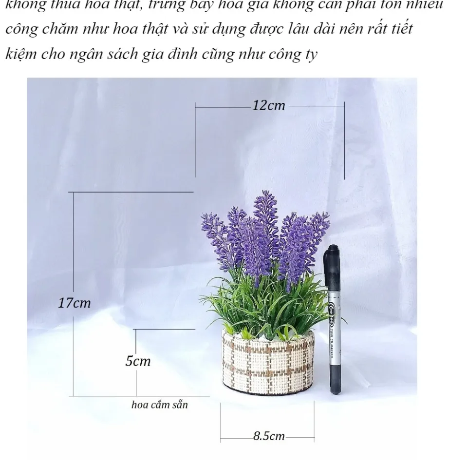 Hoa giả trang trí NHỎ - Chậu hoa oải hương lavender màu tím thơ ...