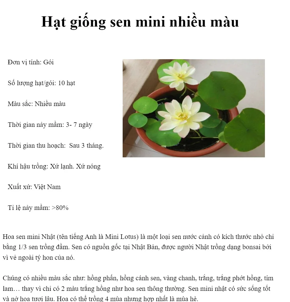 Hạt giống sen mini Nhật gói 10 hạt ( 4 màu) | Lazada.vn