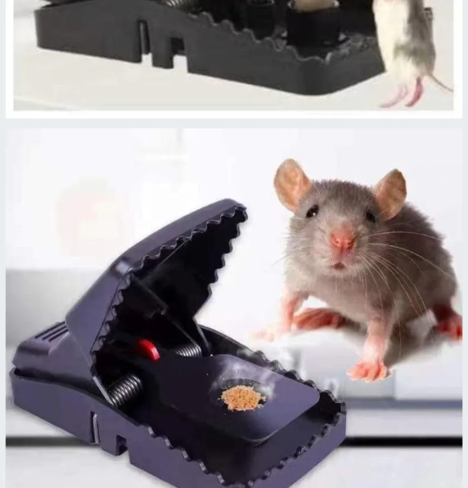 4 Pack Mouse Snap Traps Mice Trap House Indoor Outdoor Quick Mousetrap  Catcher 