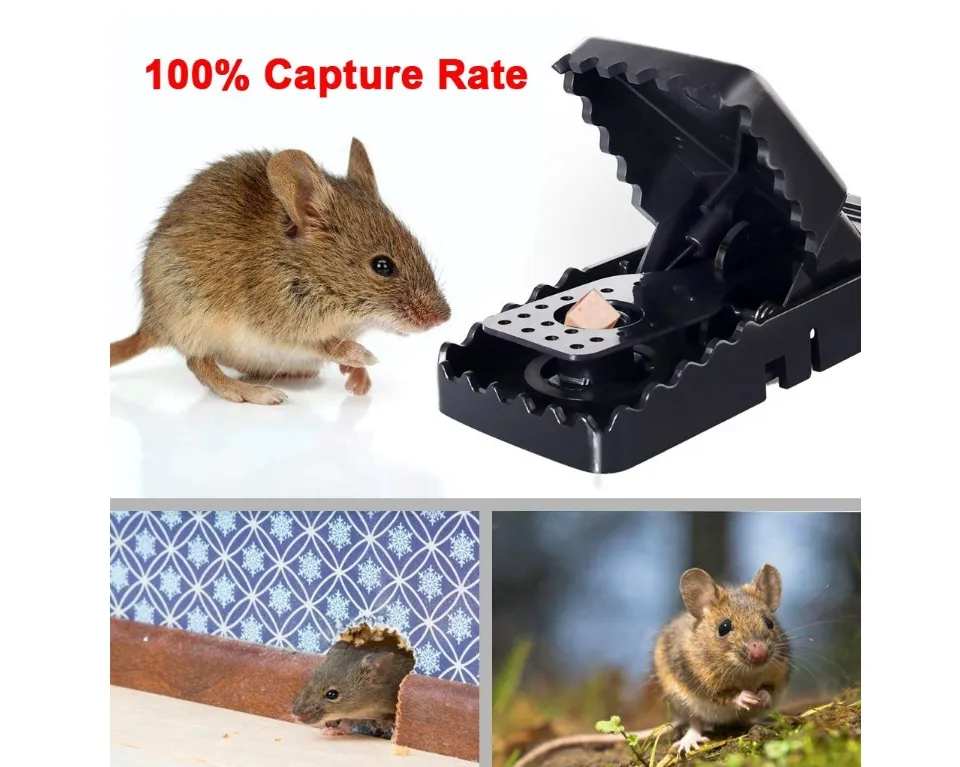 Reusable Rat Catching Mouse Traps Rodent Mice Trap Bait Snap