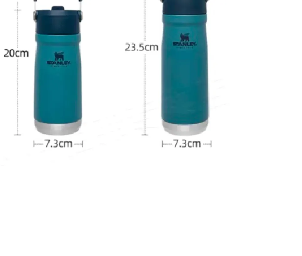 Thermal bottle Stanley, Go Iceflow Flip Straw Water Bottle 22oz / 650ml  Polar