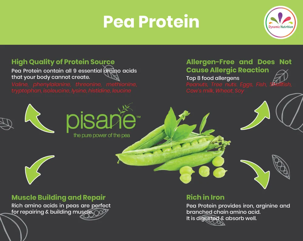 Promo LiveProtein Organic Pumpkin Seed Protein & PISANE™ pea protein