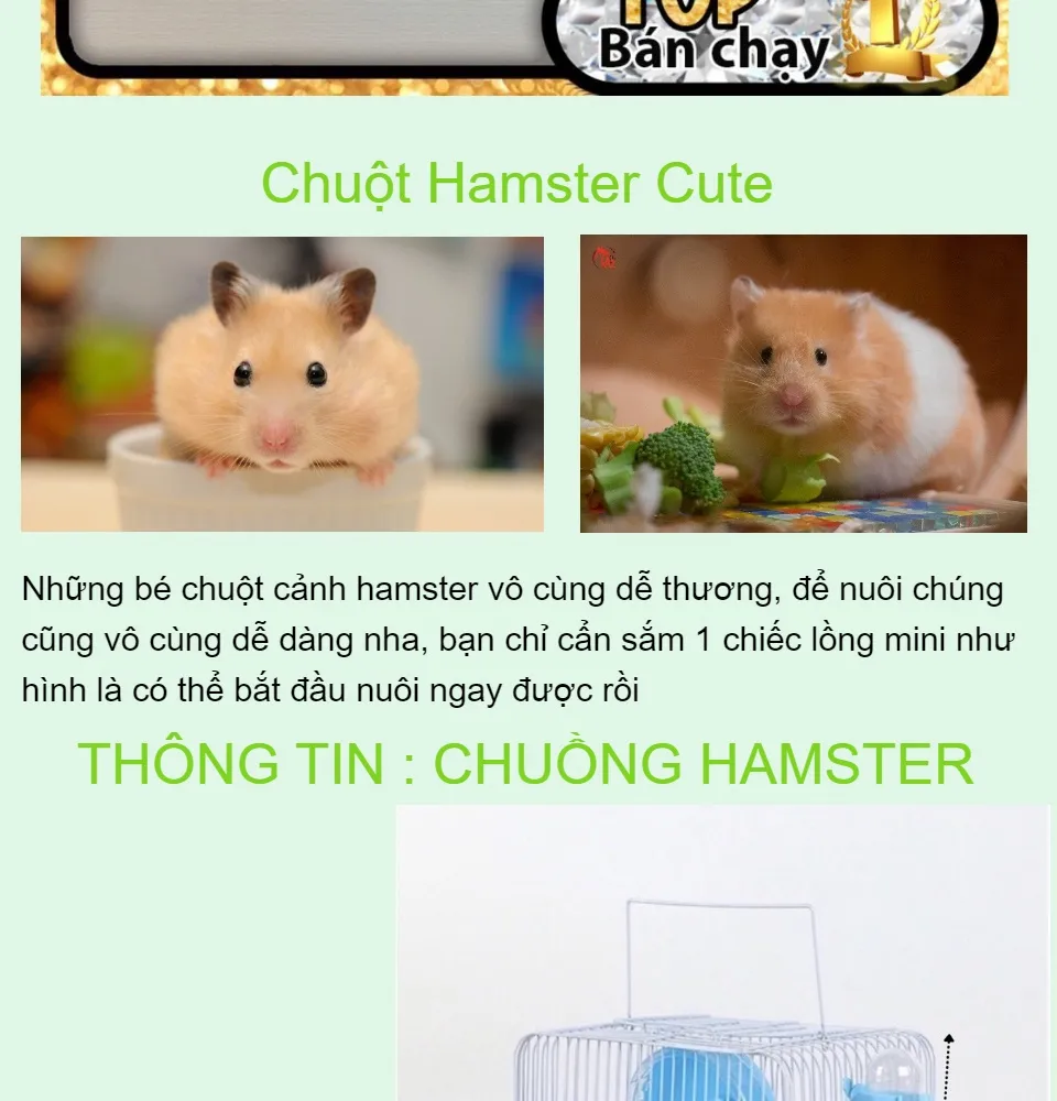 Tổng hợp với hơn 83 về mô hình nuôi chuột hamster mới nhất  Tin học Đông  Hòa