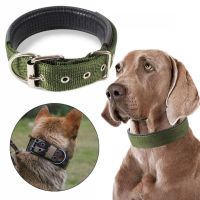 ปลอกคอไนลอน ปลอกคอสุนัข ปลอกคอแมว ปลอกคอสัตว์เลี้ยง Pet Dog Collar Puppy Pet Adjustable Collar Nylon Soft Dog Collars Solarx