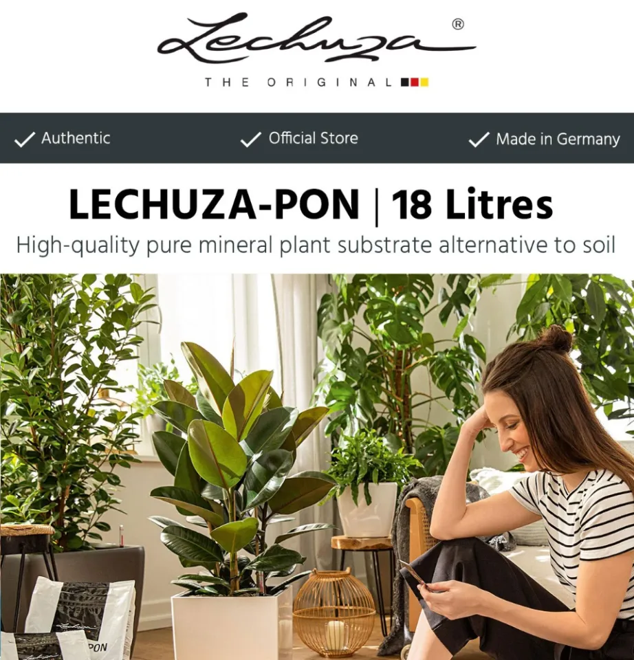 Best Lechuza Pon Alternatives