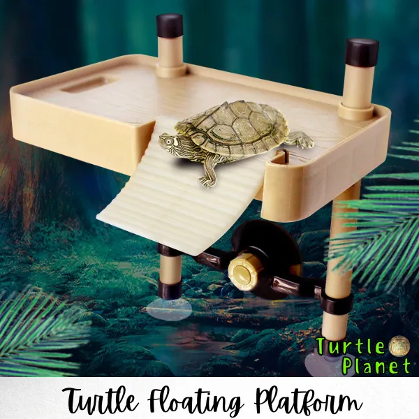 福袋特集 2021 VolksRose turtle Turtle Basking Basking Platform， Platform  Automatic aquarium 乌龟小号晒背 ramp Turtle Floating Floating Turtle Pier  Terrapin ＿並行輸入品 localhost