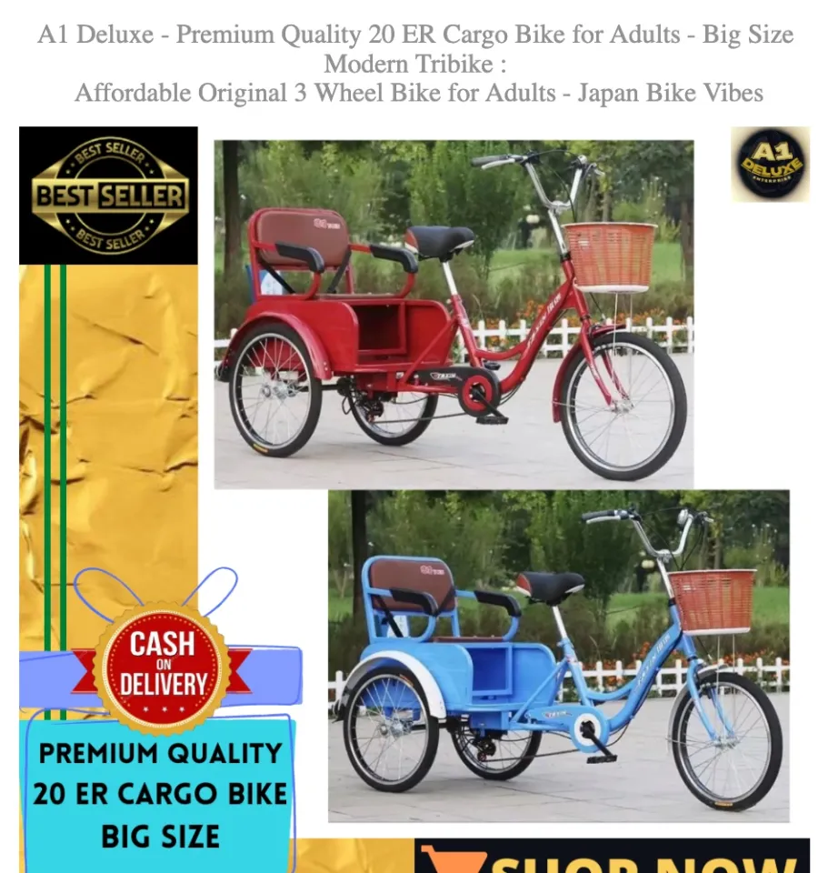 tri bike adult