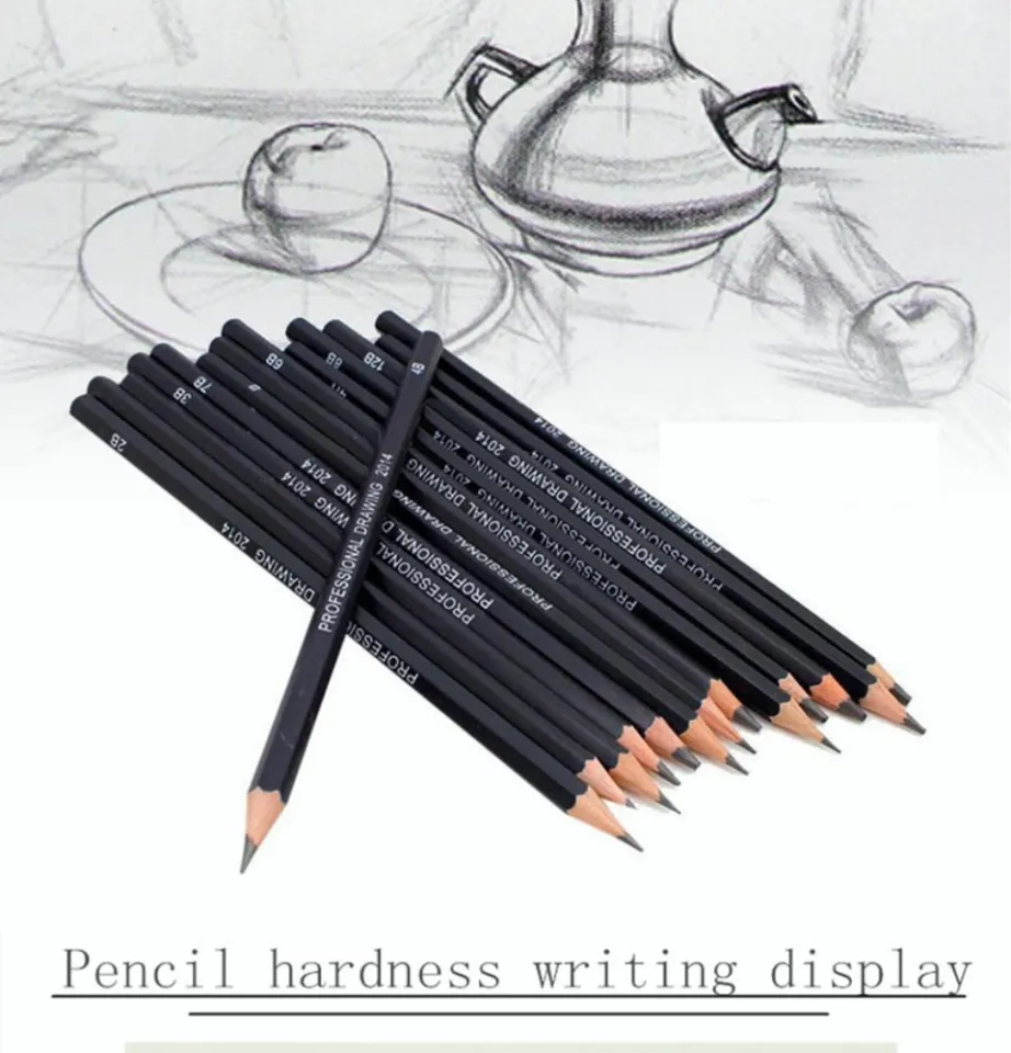 Artist Professional Drawing Pencil Graphite Sketching 12B-6H Set