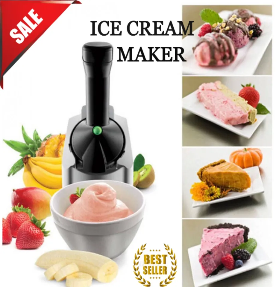 Best fruit discount ice cream maker