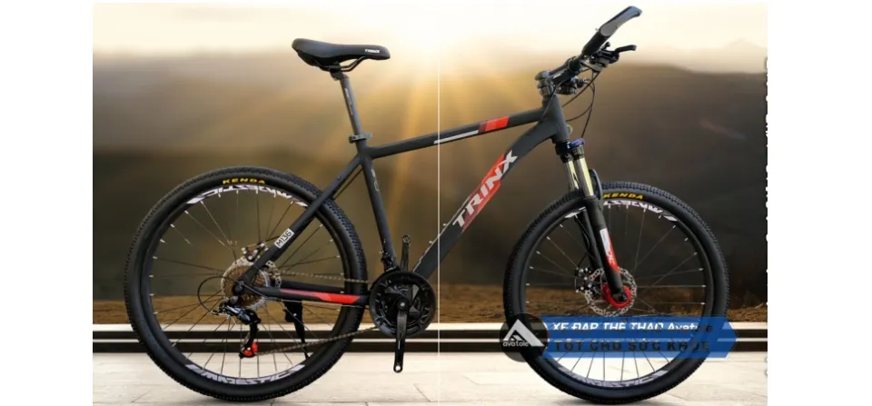 trinx 6061