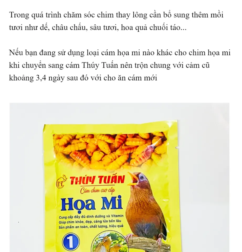 Phương pháp chăm sóc chim họa mi hót – Chim Cảnh Việt