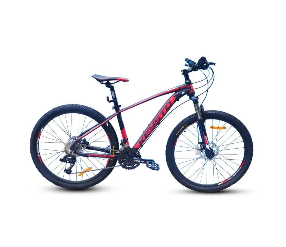 keysto conquest 29er 2021