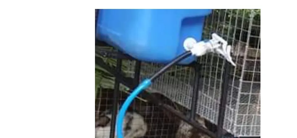 rabbit self watering system