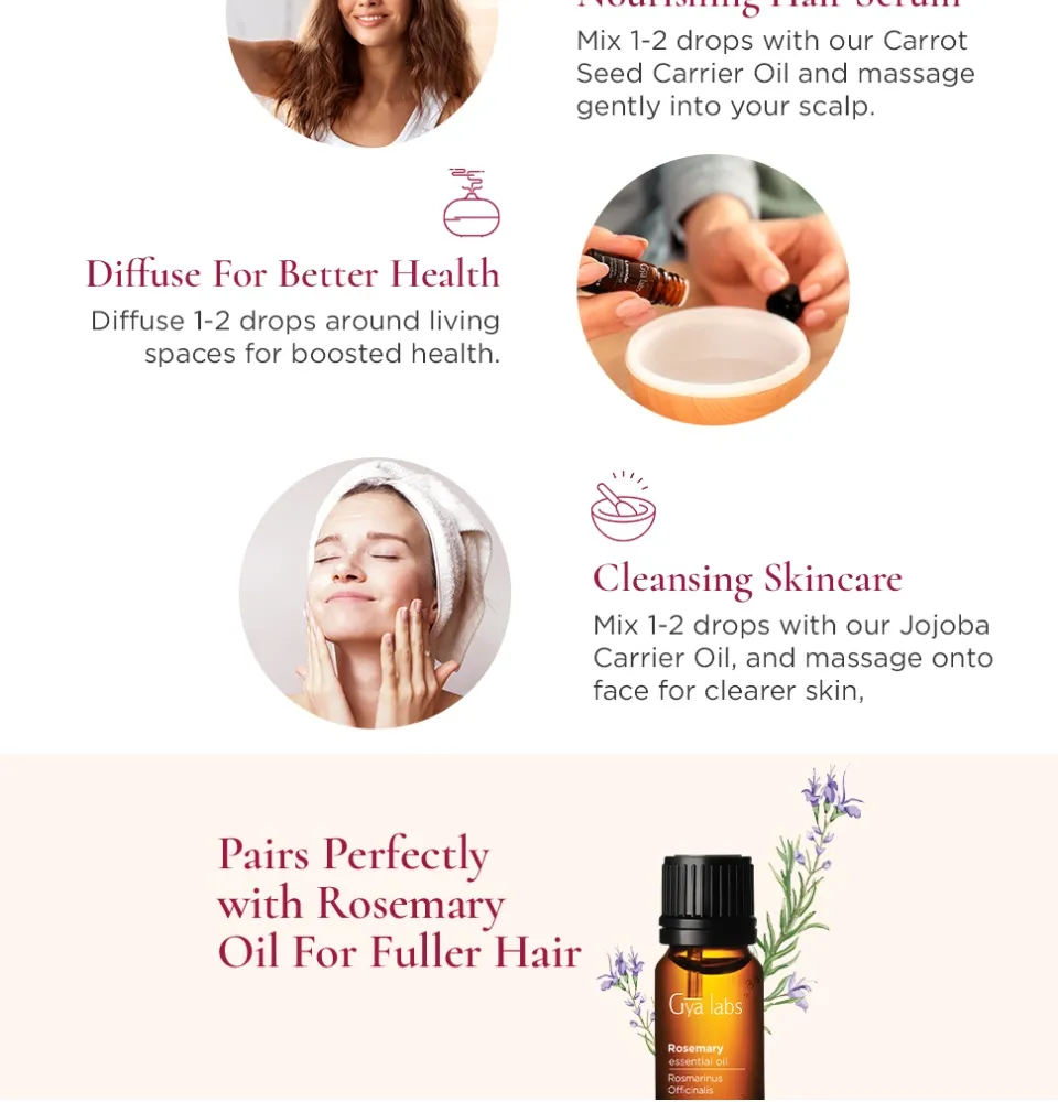 Top 152+ thyme oil for hair latest tnbvietnam.edu.vn