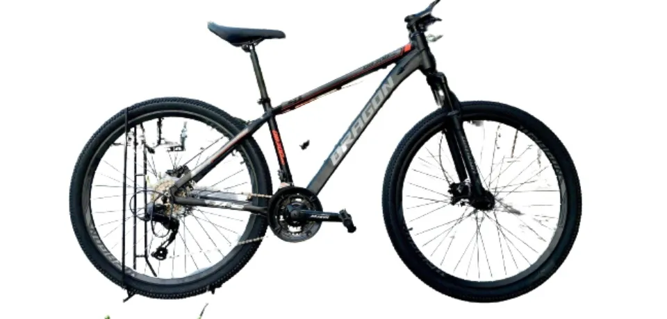 sunspeed mountain bike price