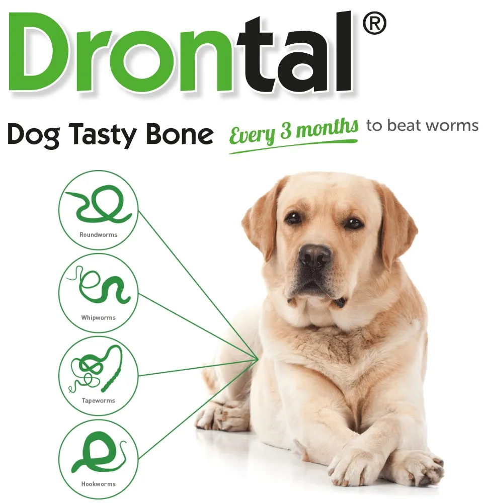 what are the side effects of drontal for dogs