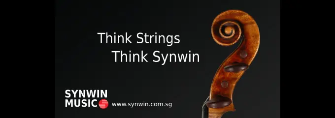 Synwin deals violin price