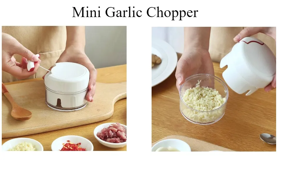 1pc Hand pullGarlic Mincer Mini Garlic Chopper Food Chopper Garlic Mincer, Vegetable  Chopper, Onion Chopper, Portable Small Food Processor for Garlic, Ginger,  Chili, Vegetables Professional Garlic Crusher