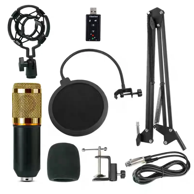 BM-800 Condenser Microphone Kit Studio Pop Filter Boom Scissor Arm