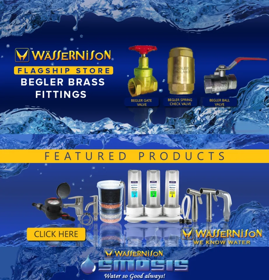 Wassernison Single Point Water Heater 4.5 kW in Compact with Shower Kit |  Lazada PH
