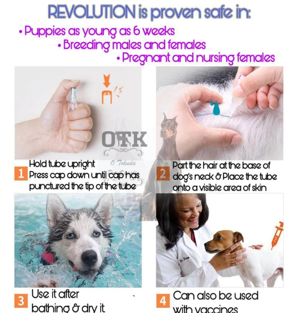 When Can You Bathe A Dog After Applying Revolution
