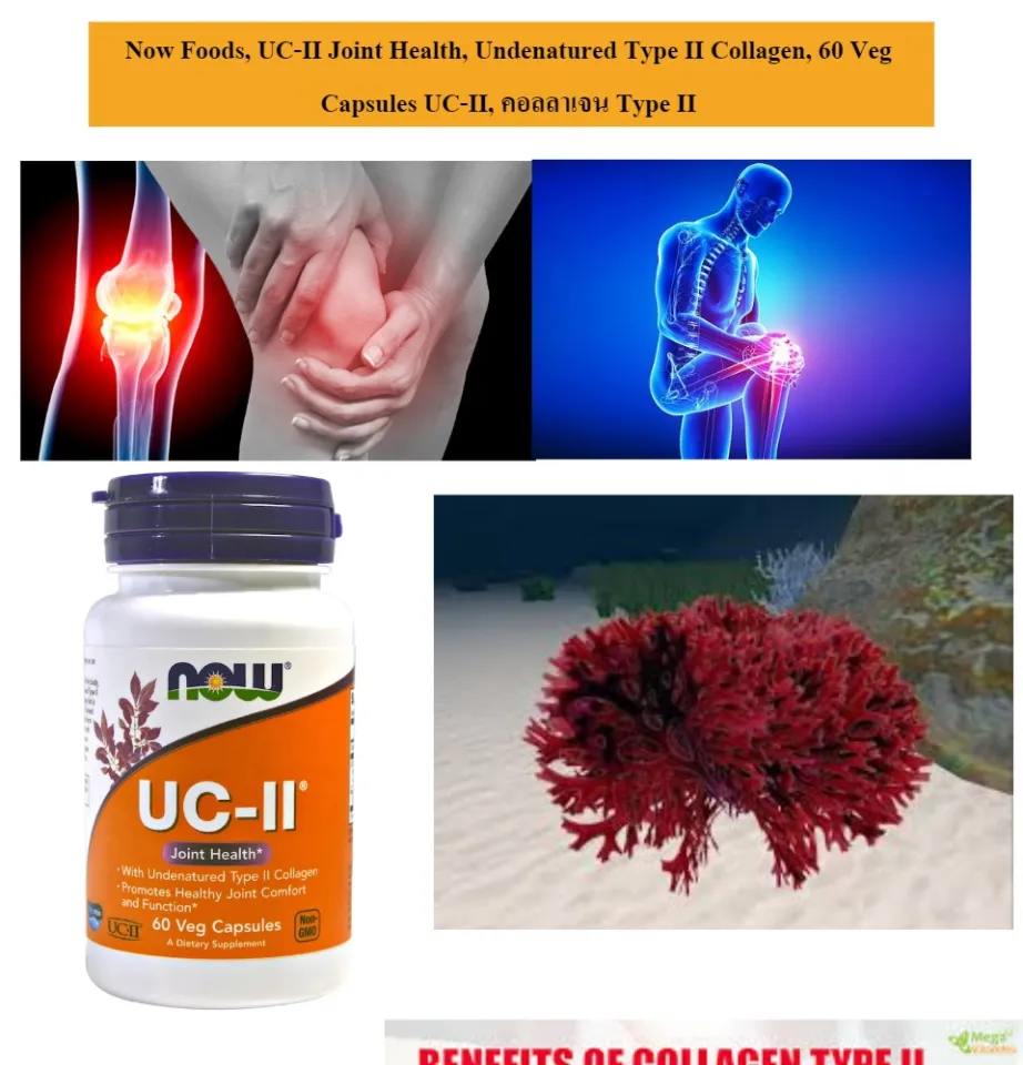 Now Foods UC-II Type II Collagen 120 VCaps