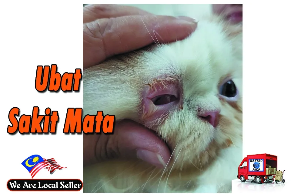 Ubat Gel Sakit Mata Kucing 3 5gm Made In Usa Lazada