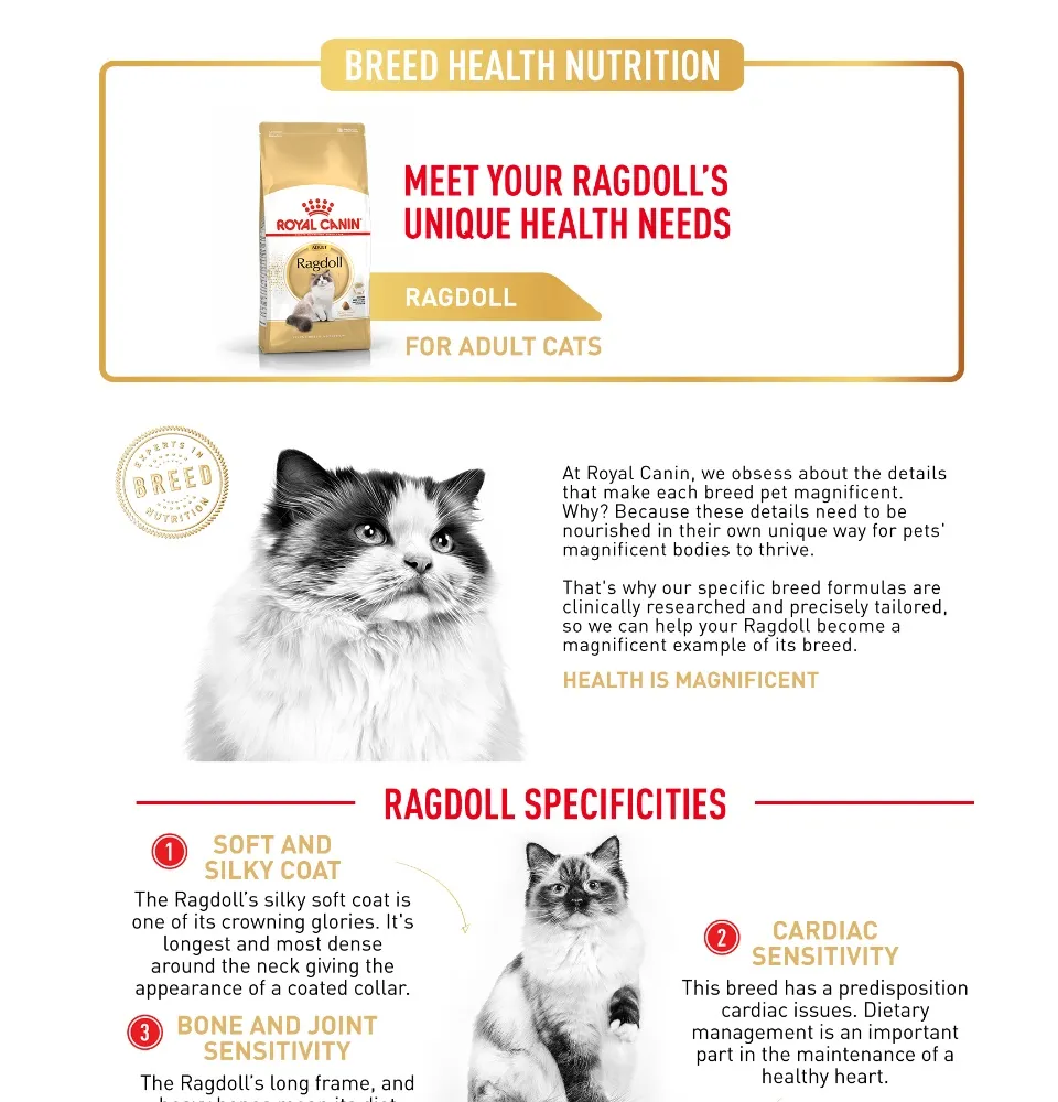 Royal Canin Feline Breed Nutrition Adult Ragdoll Dry Cat